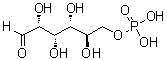 CAS # 56-73-5, D-Glucose 6-phosphate, Glucose 6-phosphate, Robison ester