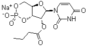 CAS # 57329-12-1, Uridine cyclic 3',5'-(hydrogen phosphate) 2'-butanoate monosodium salt