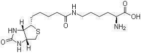 Biocytin molecular structure (CAS 576-19-2)