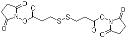 CAS # 57757-57-0, 3,3'-Dithiodipropionic acid di(N-hydroxysuccinimide ester), Di(N-succinimidyl) 3,3'-dithiodipropionate, Dithiobis(succinimidyl propionate)