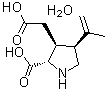 CAS # 58002-62-3, [2S-(2alpha,3beta,4beta)]-2-Carboxy-4-(1-methylethenyl)-3-pyrrolidineacetic acid monohydrate