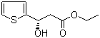 CAS 登录号：603959-54-2, (S)-3-羟基-3-(2-噻吩基)丙酸乙酯