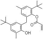 CAS # 61167-58-6, 2-(2-Hydroxy-3-tert-butyl-5-methylbenzyl)-4-methyl-6-tert-butylphenyl acrylate, Irganox 3052, 2,2'-Methylenebis(4-methyl-6-tert-butylphenol) monoacrylate, 2-tert-Butyl-6-(3-tert-butyl-2-hydroxy-5-methylbenzyl)-4-methylphenyl acrylate