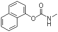 CAS # 63-25-2, Carbaryl, 1-Naphthalenol methylcarbamate, 1-Naphthol methylcarbamate, 1-Naphthyl N-methylcarbamate, Arylam, Dicarbam, Bug Master, Carbamec, Carbamine, Carbatox, Carbomate, Carpolin, Carylderm, Cekubaryl, Clinicide, Denapon, Derbac, Devicarb, Hexavin, Karbaspray, Murvin, NAC, OMS 29, UC 7744, Padrin, Panam, Patrin, Ravyon, Savit, Seffein, Septene, Sevimol, Sevin, Tercyl, Thinsec, Tornado, Tricarnam