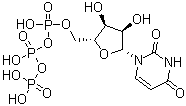 尿苷-5'-三磷酸分子结构 (CAS 63-39-8)