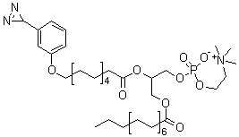 (R)-7-[[11-[3-(3H-Diazirin-3-yl)phenoxy]-1-oxoundecyl]oxy]-4-hydroxy-N,N,N-trimethyl-10-oxo-3,5,9-trioxa-4-phosphapentacosan-1-aminium inner salt 4-oxide molecular structure (CAS 65114-56-9)