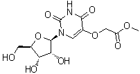 CAS # 66536-81-0, Uridine-5-oxyacetic acid methyl ester