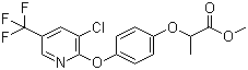Haloxyfop-methyl molecular structure (CAS 69806-40-2)