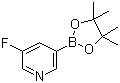 CAS # 719268-92-5, 3-Fluoropyridine-5-boronic acid pinacol ester, 3-Fluoro-5-(4,4,5,5-tetramethyl-1,3,2-dioxaborolan-2-yl)pyridine