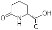 D-6-氧代哌啶-2-甲酸分子结构 (CAS 72002-30-3)