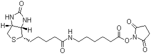 CAS 登录号：72040-63-2, 生物素化-epsilon-氨基己酸-N-羟基丁二酰亚胺活化酯