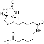 N-Biotinylcaproic acid molecular structure (CAS 72040-64-3)
