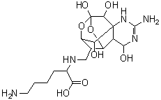 [<sup>3</sup>H]-Lysine-tetrodotoxin molecular structure (CAS 73600-92-7)
