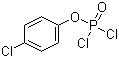4-Chlorophenyl dichlorophosphinate molecular structure (CAS 772-79-2)