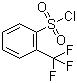 CAS # 776-04-5, 2-(Trifluoromethyl)benzenesulfonyl chloride, 2-(Trifluoromethyl)benzene-1-sulfonyl chloride