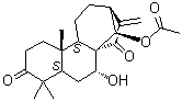 Glaucocalyxin B molecular structure (CAS 80508-81-2)