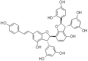 Gnetumontanin B分子结构 (CAS 809237-87-4)