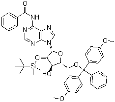 CAS # 81265-93-2, N6-Benzoyl-5'-O-(4,4'-dimethoxytrityl)-2'-O-(tert-butyldimethylsilyl)adenosine, N-[9-[(2R,3R,4R,5R)-5-[[bis(4-methoxyphenyl)-phenylmethoxy]methyl]-3-[tert-butyl(dimethyl)silyl]oxy-4-hydroxyoxolan-2-yl]purin-6-yl]benzamide