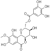 CAS 登录号：82958-44-9, 11-O-没食子酰岩白菜素