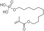 CAS # 85590-00-7, Estenia Opaque Primer, 10-Methacryloyloxydecyl dihydrogen phosphate, Mono-10-methacryloyloxydecyl phosphate