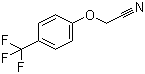 CAS 登录号：874804-02-1, 2-(4-三氟甲基苯氧基)乙腈