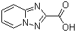 structure of CAS# 876379-83-8, [1,2,4]三唑并[1,5-a]吡啶-2-羧酸