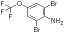 CAS # 88149-49-9, 2,6-Dibromo-4-(trifluoromethoxy)aniline, 3,5-Dibromo-4-aminotrifluoromethoxybenzene