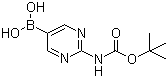 [2-[(tert-Butoxycarbonyl)amino]pyrimidin-5-yl]boronic acid molecular structure (CAS 883231-25-2)