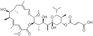 CAS # 88979-61-7, Bafilomycin C1, L 681110A1