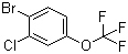 structure of CAS# 892845-59-9, 1-溴-2-氯-4-(三氟甲氧基)苯