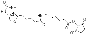 CAS # 89889-52-1, Molecular Probes B 1606, B 1606, Biotin-LC-LC-NHS, Biotin-XX,SE, Biotin-XX-NHS, EZ-Link-NHS-LC-LC-Biotin