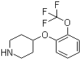 CAS # 902836-49-1, 4-[2-(Trifluoromethoxy)phenoxy]piperidine