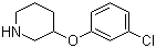 3-(3-Chlorophenoxy)piperidine molecular structure (CAS 902837-32-5)