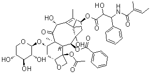 7-Xylosyl-10-deacetylcephalomannine molecular structure (CAS 90332-64-2)