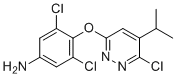 CAS # 920509-27-9, 3,5-Dichloro-4-((6-chloro-5-isopropylpyridazin-3-yl)oxy)aniline