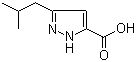 3-Isobutyl-1H-pyrazole-5-carboxylic acid molecular structure (CAS 92933-49-8)