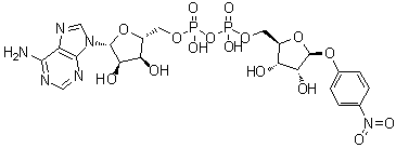 Adenosine 5'-(trihydrogen diphosphate), P'→5-ester with 4-nitrophenyl beta-D-ribofuranoside molecular structure (CAS 939028-75-8)