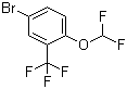 CAS # 954236-13-6, 4-Bromo-1-(difluoromethoxy)-2-(trifluoromethyl)benzene