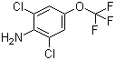 CAS # 99479-66-0, 2,6-Dichloro-4-(trifluoromethoxy)aniline